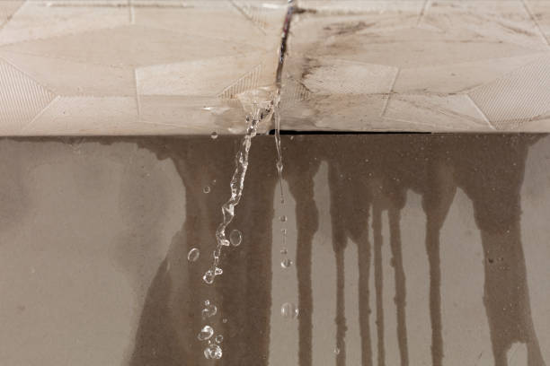 Professional Burst Pipe Cleanup technician working in Linden, AL